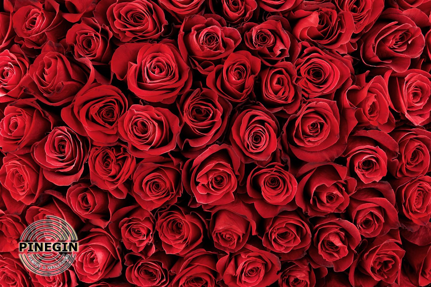 Фотообои «Миллион алых роз»