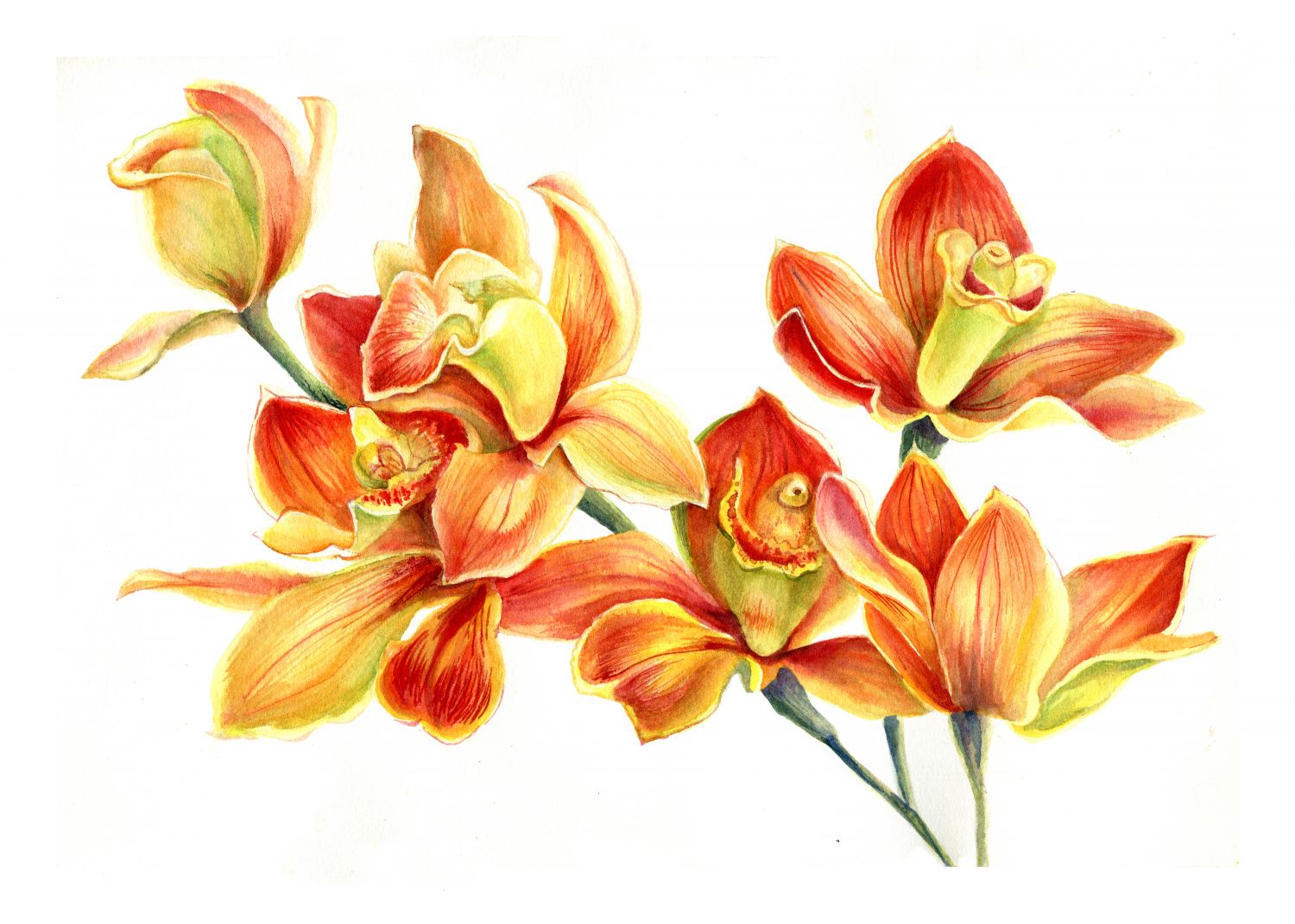Фрески «Орхидея ярко-оранжевая»