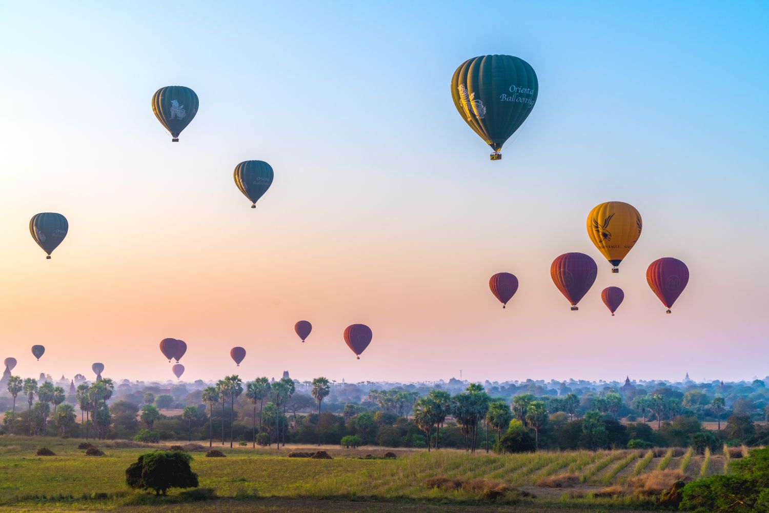 Фотообои «Воздушные шары над полем»