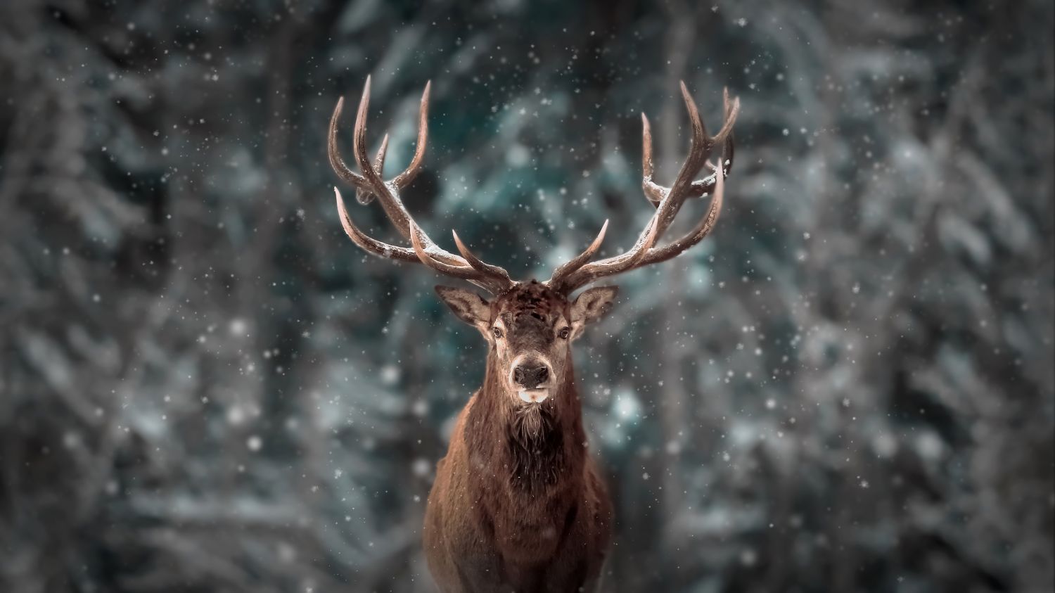 Фотообои «Олень в туманном лесу»