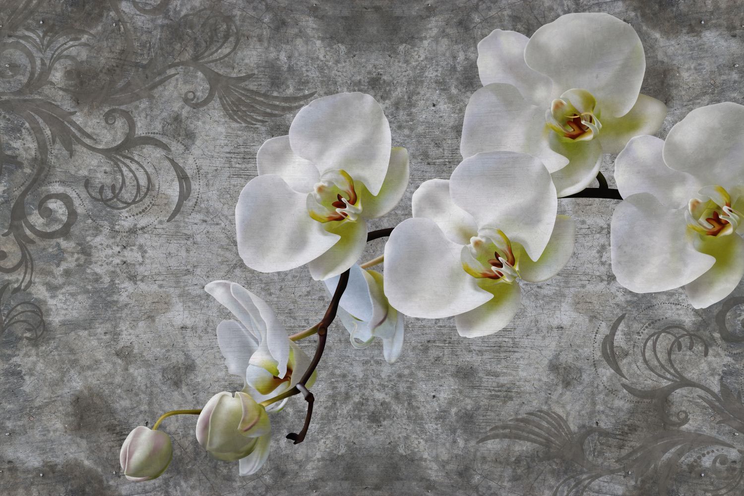 Фотообои «Орхидеи и узор»
