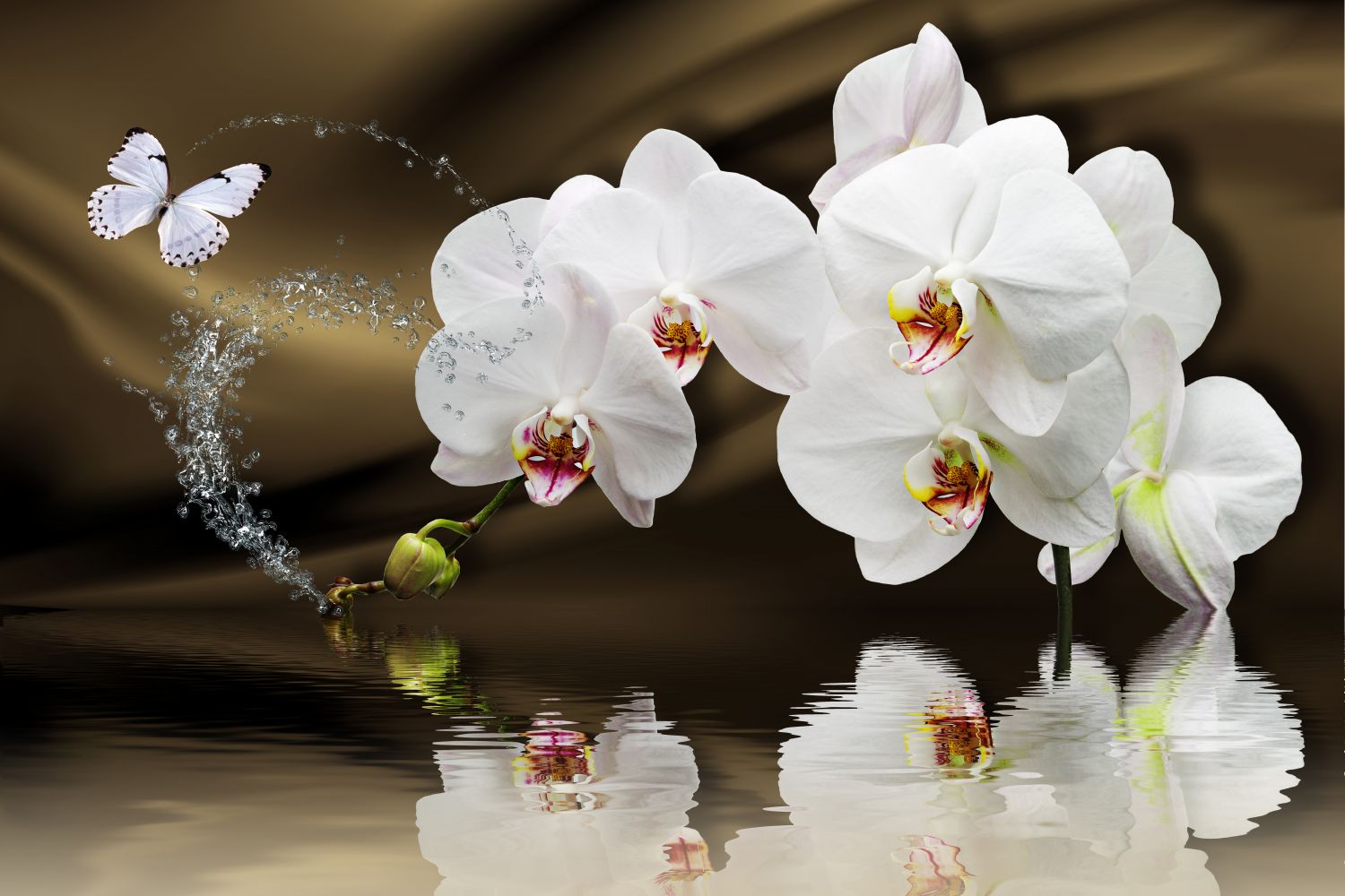 Фотообои «Орхидеи и бабочка»
