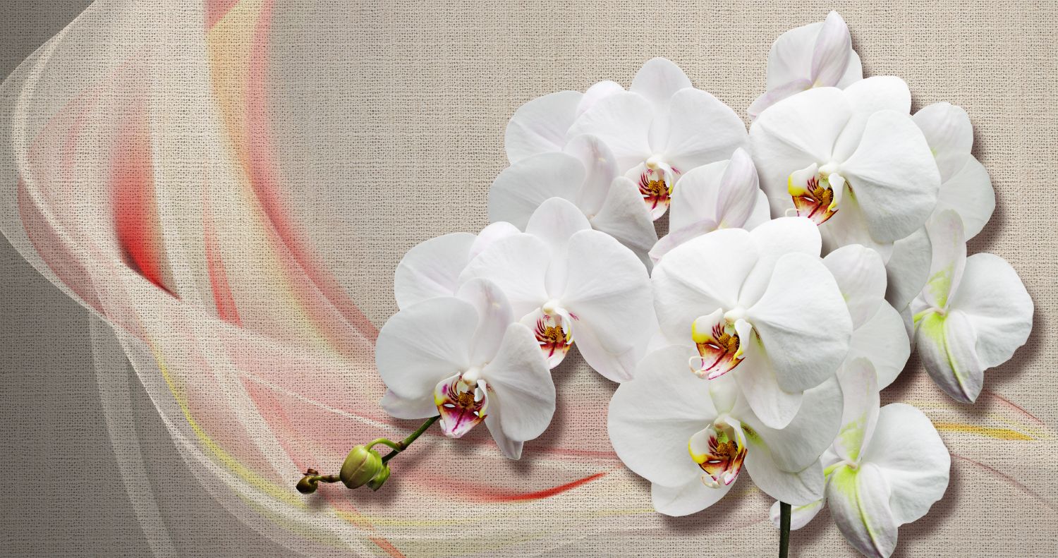 Фрески «Орхидеи и холст»