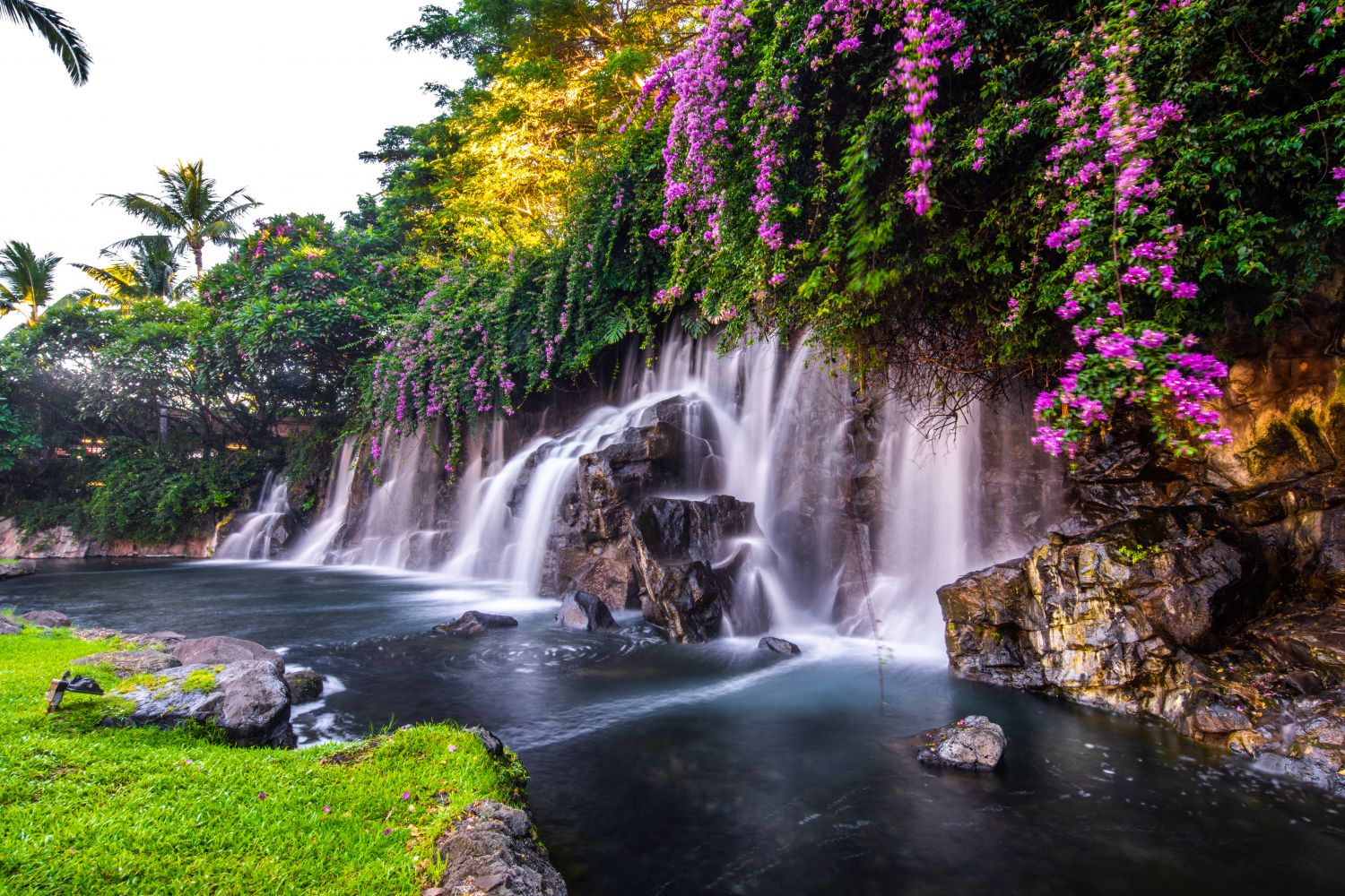Фотообои «Водопад и цветущие лианы»
