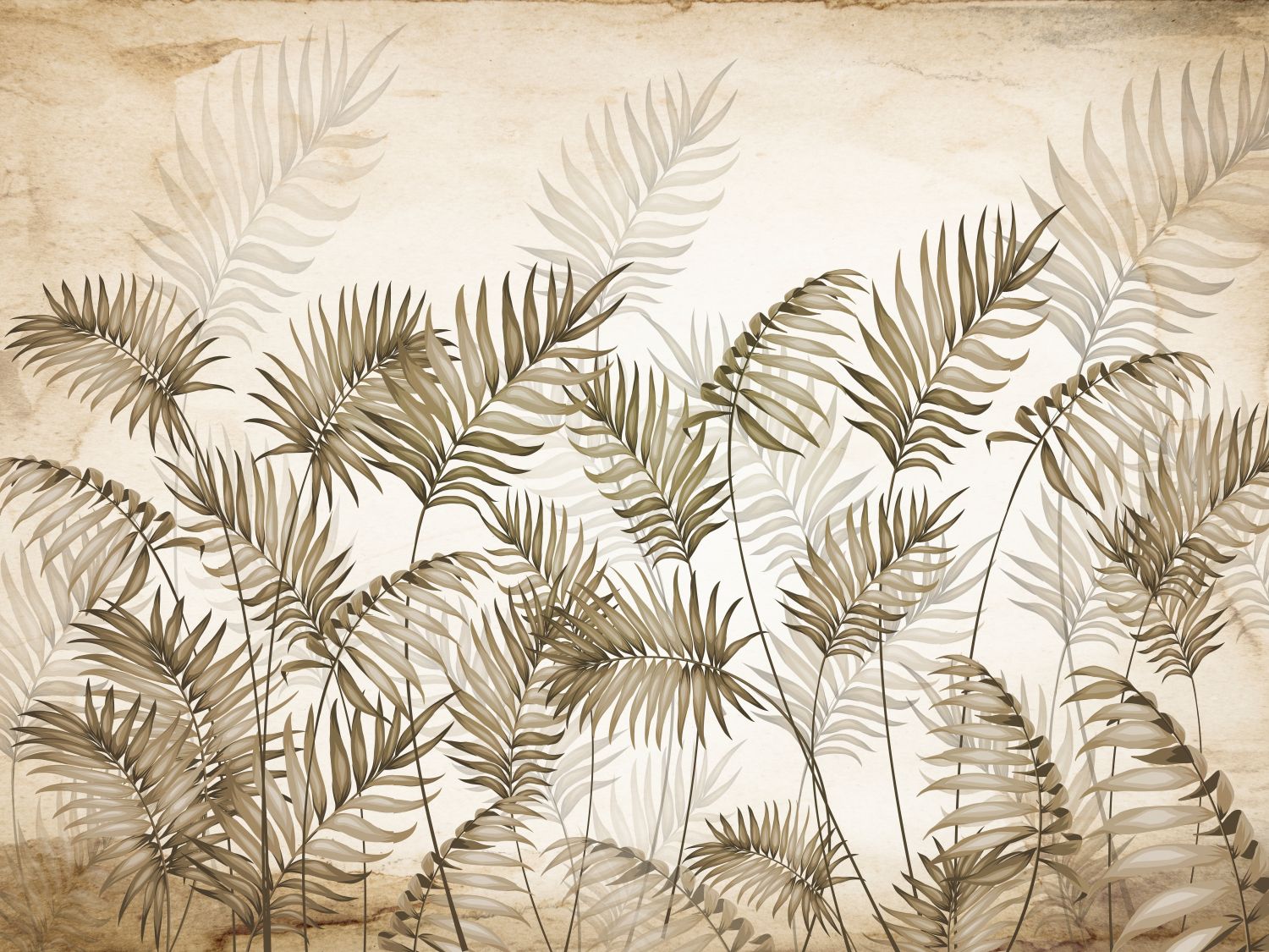 Фотообои «Листья пальмы»