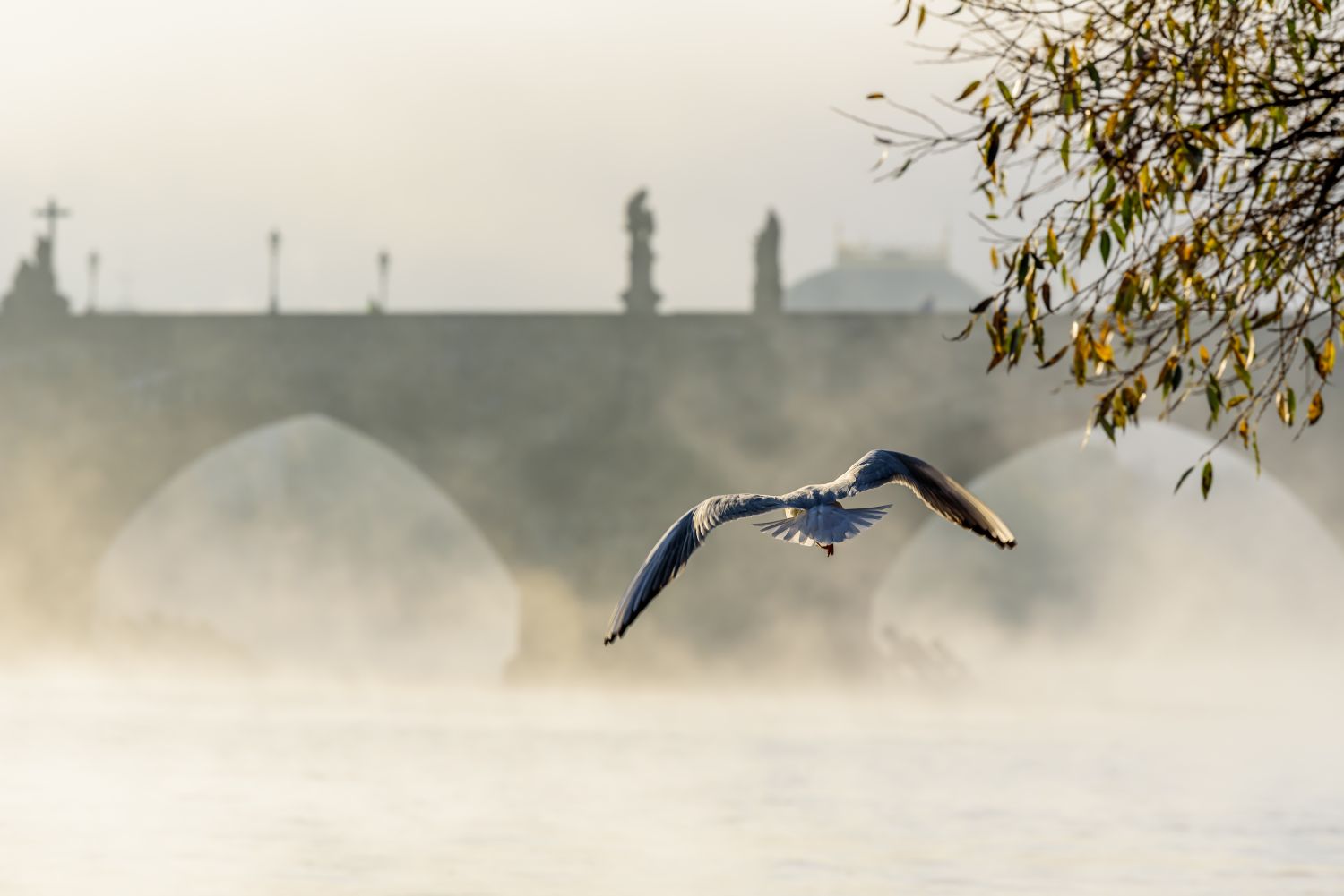 Фрески «Чайка в тумане у моста»