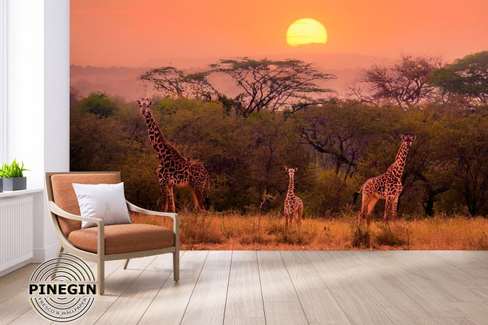 Фотообои «Сафари и жираф - закат»