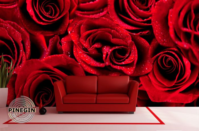 Фотообои «Стена из красных роз»