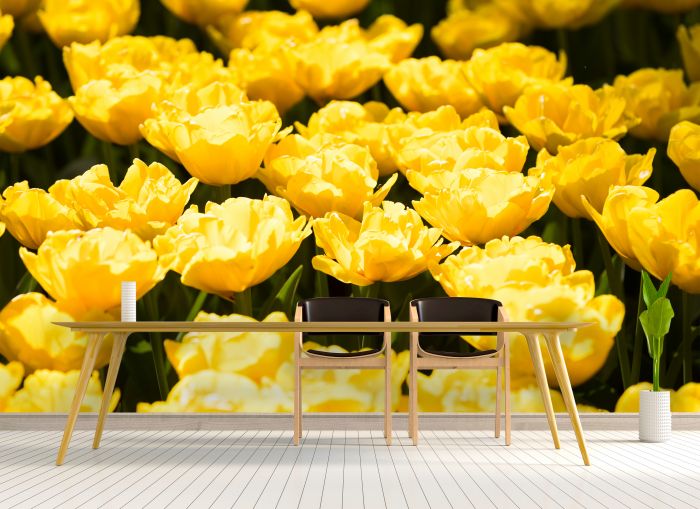 Фотообои «Много желтых тюльпанов»