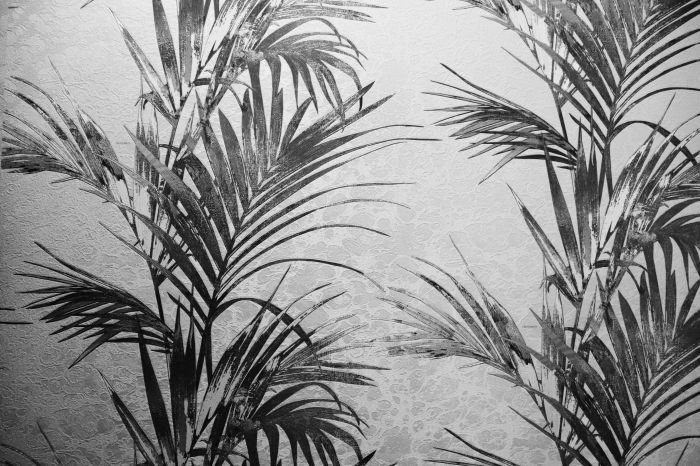 Фотообои «Пальмы ченрно-белые»