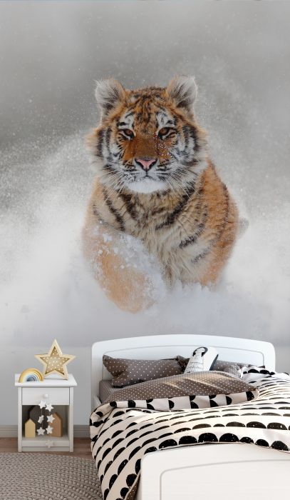 Фотообои «Тигр в прыжке»
