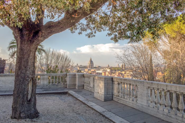 Фотообои «Дерево в Риме»