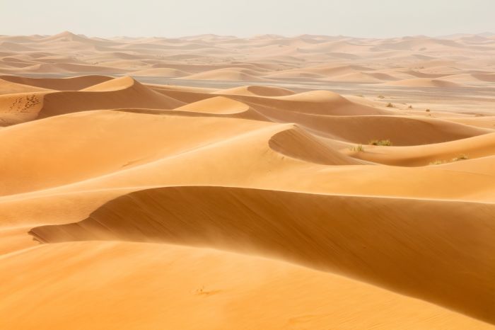 Фотообои «Безмятежность пустыни»