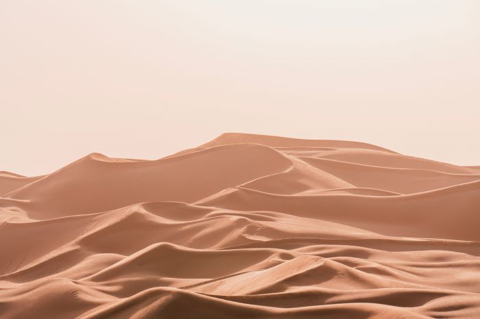 Фотообои «Идеальность пустыни»