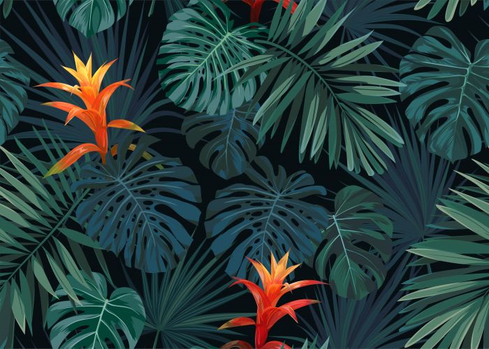 Фотообои «Цветущие пальмы»