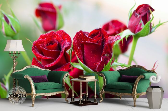 Фотообои «Бутоны красных роз»