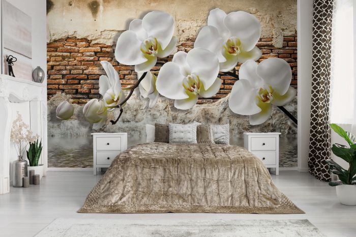 Фотообои «Белые орхидеи»
