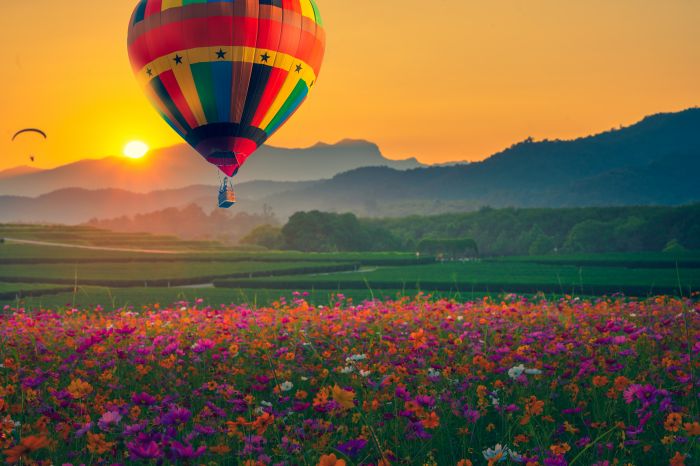 Фреска «Воздушный шар и поле цветов»