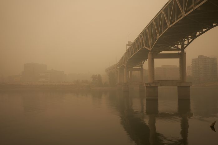 Фотообои «Мосты в  густом тумане »