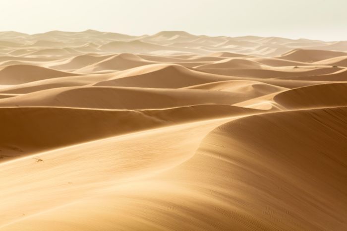 Фотообои «Легкий ветер пустыни»