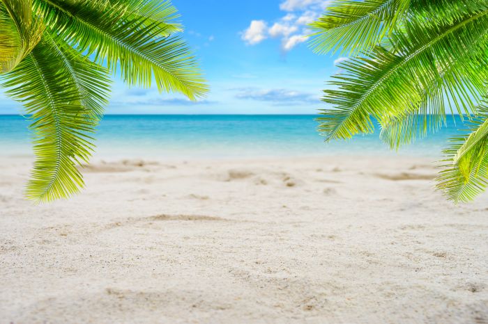 Фреска «Пальмы на пляже»