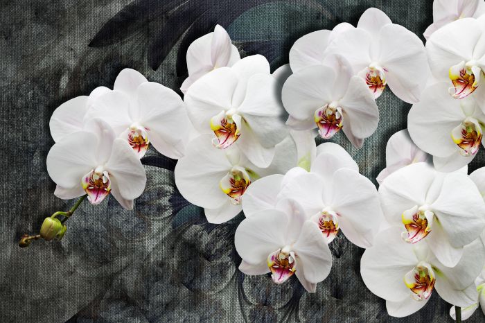 Фотообои «Орхидеи и фактура ткани»